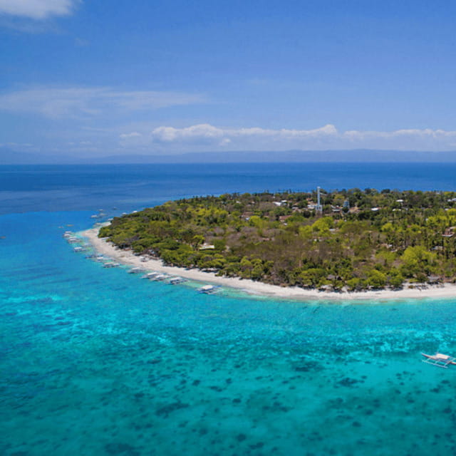 Bohol: Dolphin Watching, Balicasag Island Hopping Tour - The Itinerary in Detail
