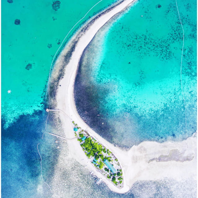 Bohol: Dolphin Watching, Balicasag Island Hopping Tour - FAQ