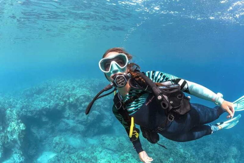 Bohol: First-Time Scuba Dive - No Experience Needed - Who Will Love This Tour?