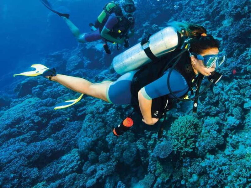 Bohol: First-Time Scuba Dive - No Experience Needed - Final Thoughts