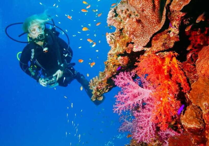Bohol: First-Time Scuba Dive - No Experience Needed - FAQs