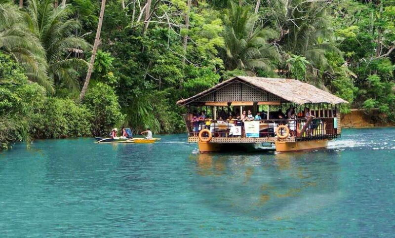 Bohol: Guided Chocolate Hills & Tarsiers Tour - Key Points