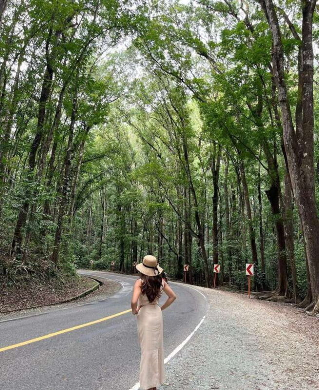 Bohol: Guided Chocolate Hills & Tarsiers Tour - Final Thoughts: Who Should Book This Tour?