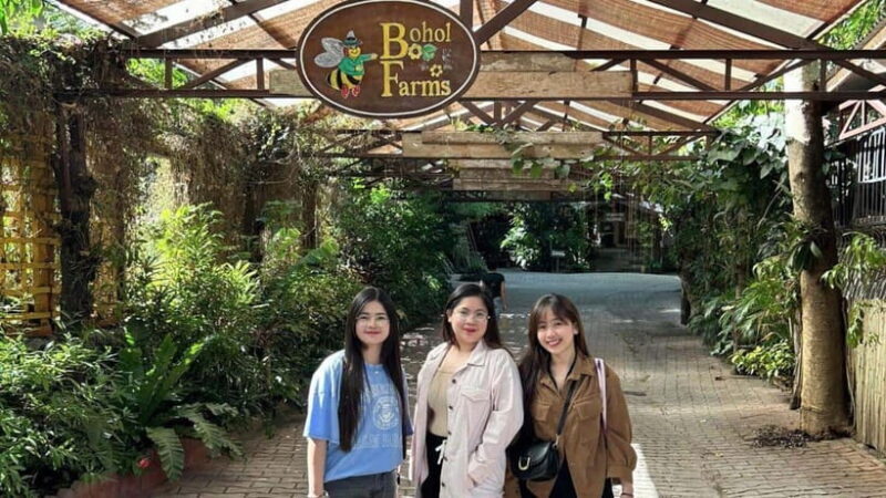 Bohol: Half-Day Panglao Tour (Hinagdanan Cave & Churches) - Key Points