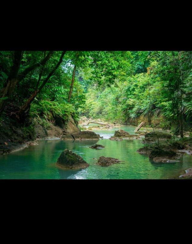 Bohol: Hidden Waterfall Hopping and Jungle Trek Adventure - Jungle Trails and River Treks