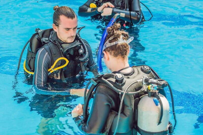 Bohol island: Fun dive local dive - What You Can Expect from the Bohol Fun Dive Tour