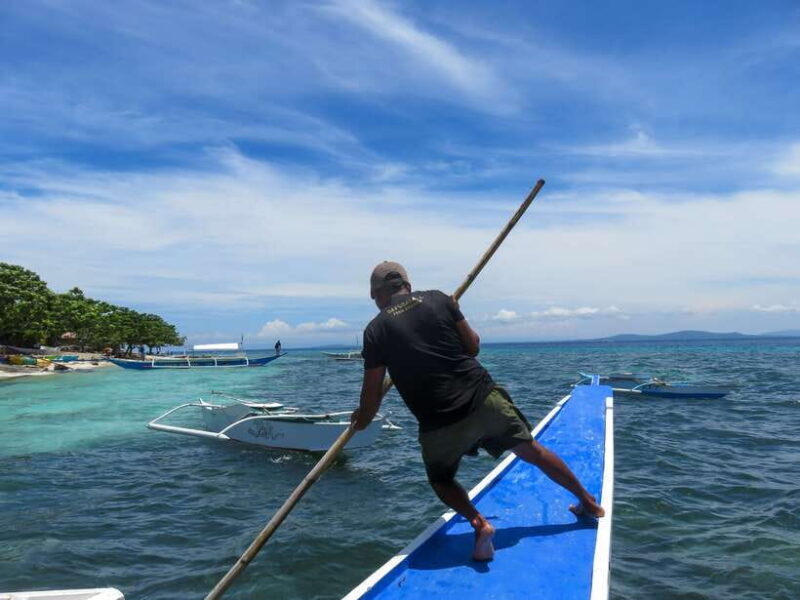 Bohol: Pamilacan Island Dolphin/Turtle Watching Tour & Lunch - Key Points