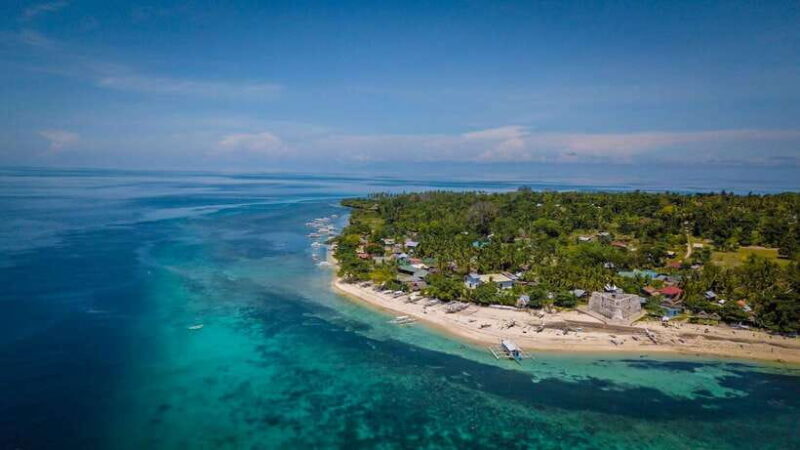Bohol: Pamilacan Island Dolphin/Turtle Watching Tour & Lunch - The Sum Up: Is This Tour for You?