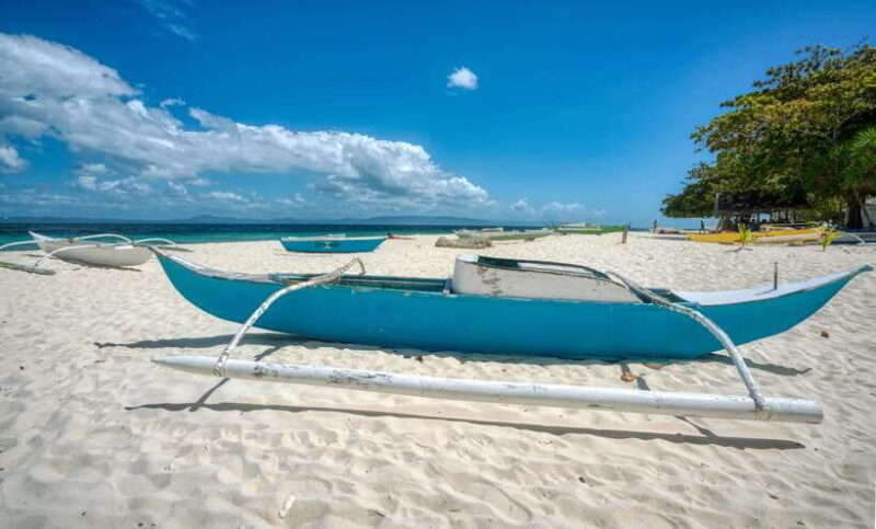 Bohol PAMILACAN Island Turtle & Dolphin Watching - Practical Tips for Travelers