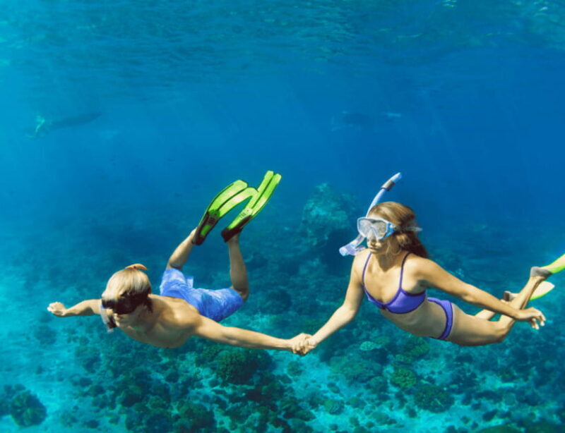Bohol: Panglao Island Hopping & Dolphin Watching Tour - Who Is This Tour Best For?
