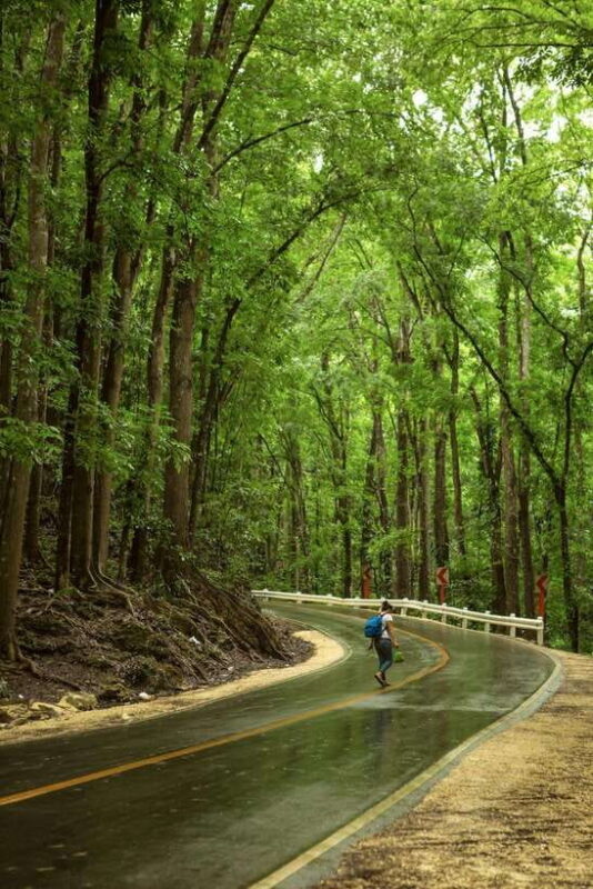 Bohol: Premium Chocolate Hills, Tarsiers & River Experience - An Introduction to the Experience