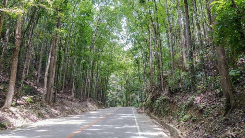 Bohol: Private Countryside Tour with Buffet Lunch - Key Points