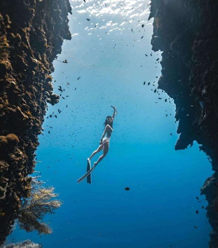 Bohol: Snorkel One of PHs Largest Sardine Schools - How This Tour Fits Into Your Bohol Itinerary