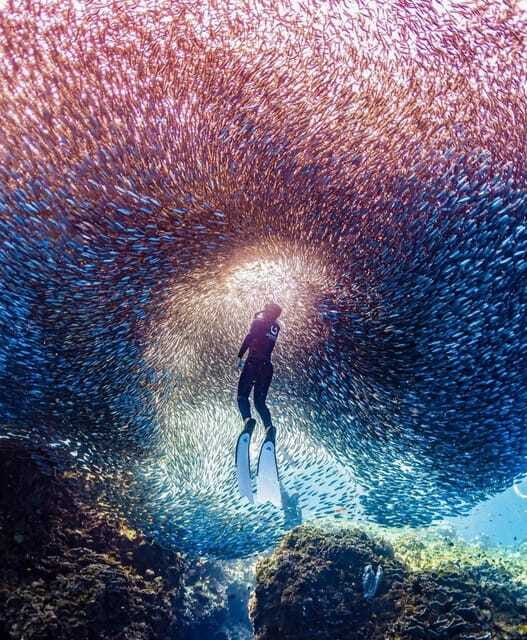 Bohol: Snorkel One of PHs Largest Sardine Schools - Final Thoughts