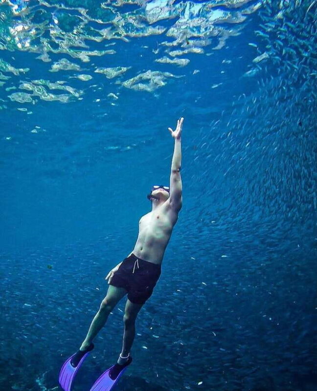 Bohol: Snorkel One of PHs Largest Sardine Schools - FAQs