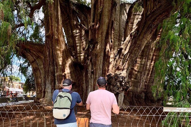 Boil water, Mitla, Teotitlan, Mezcal and more - Final Thoughts