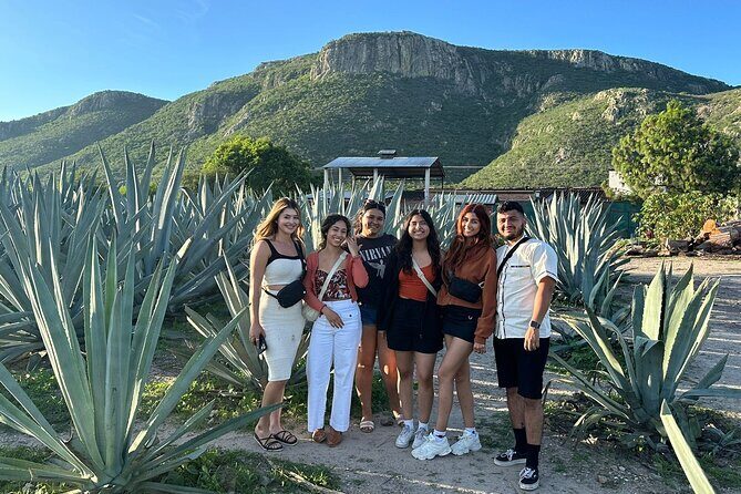 Boil Water,Tube Tree,Mitla,Mezcal and Teotitlan Valley - Who Will Love This Tour?