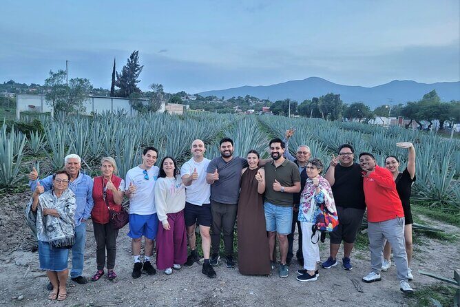 Boil Water,Tube Tree,Mitla,Mezcal and Teotitlan Valley - The Sum Up