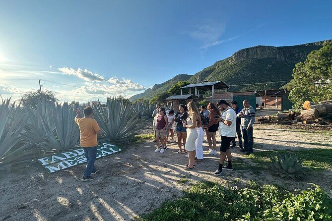 Boil Water,Tube Tree,Mitla,Mezcal and Teotitlan Valley - FAQ