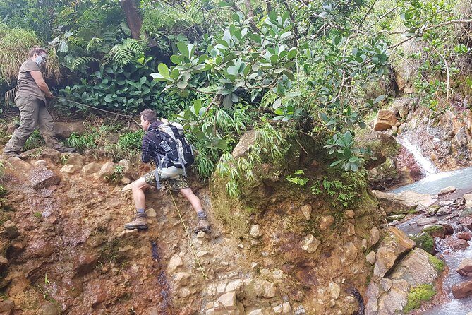 Boiling Lake Hike in Dominica - Who Should Consider This Tour?