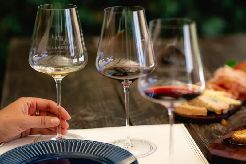 Bolgheri: Tour with wine tasting at Villanoviana - An In-Depth Look at the Bolgheri Tour at Villanoviana