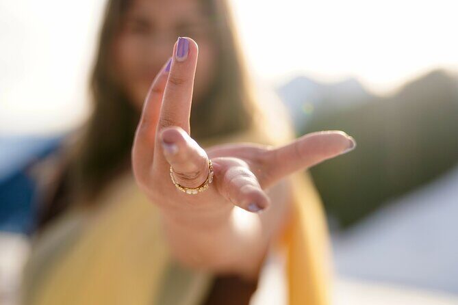 Bollywood Private Day Tour in Zurich - The Authenticity and Value