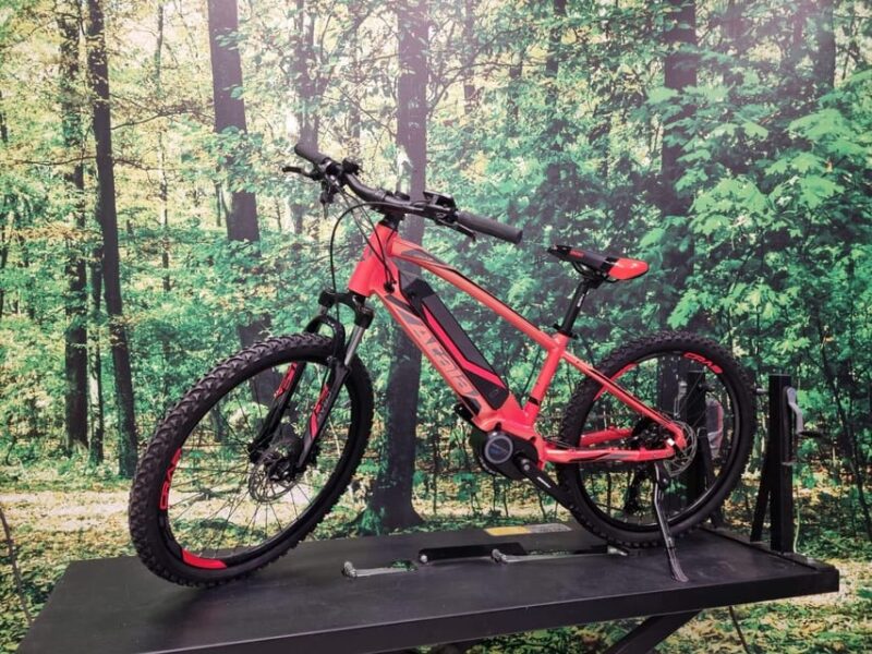 Bologna and Modena: E-bike Rental - Guided Tours and Features