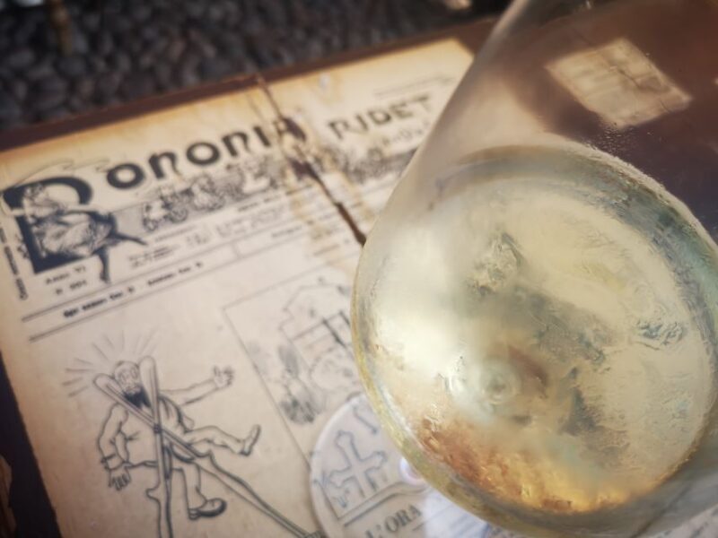 Bologna: City Center Guided Wine Walking Tour - The Experience for Different Travelers