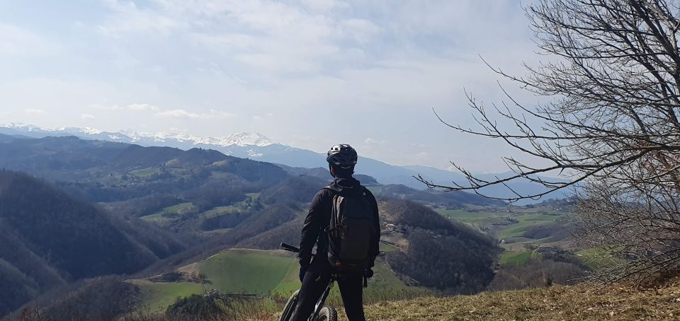 Bologna: E-Bike Guided Tour with Aperitivo - Practical Tips for Prospective Travelers