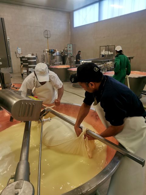 Bologna: Experience of Parmesan, Wine and Balsamic Vinegar - Winery Tour and Wine Tasting