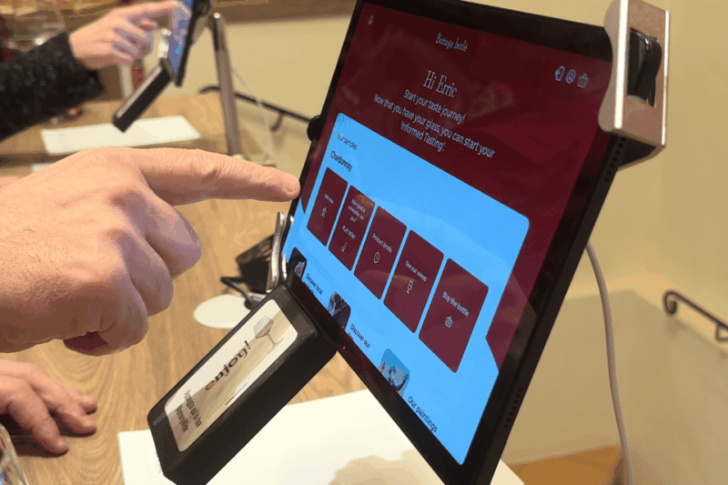 Bologna: Food and Wine Tasting With Interactive Game - Engaging With the Sommelier Game