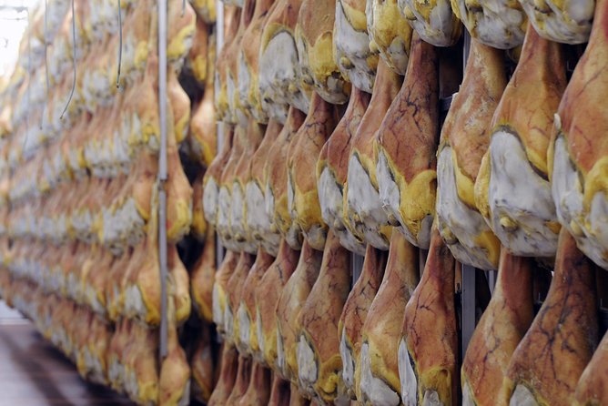 Bologna Food Experience: Factory Tours & Family-Style Lunch - Customer Reviews