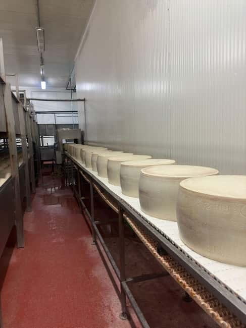 Bologna/Modena: Parmesan,Ferrari, Balsamic,Wine Tour w/Lunch - Practicalities and Tips