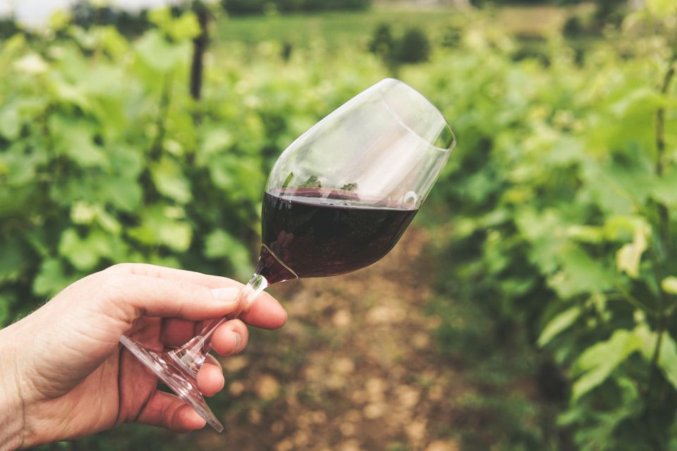 Bologna/Modena: Parmesan,Ferrari, Balsamic,Wine Tour w/Lunch - FAQ
