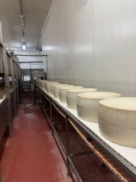 Bologna/Modena: Parmigiano, Ferrari, & Wine Tour With Lunch - Tour Inclusions and Exclusions