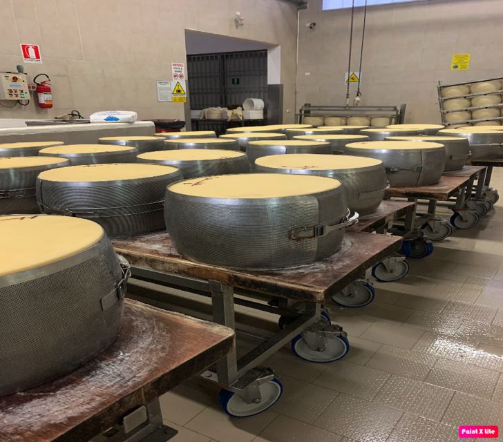 Bologna: Parmesan Cheese, Vinegar, Lambrusco (A Type of Italian Red Wine), Lunch + Transfer - Key Points