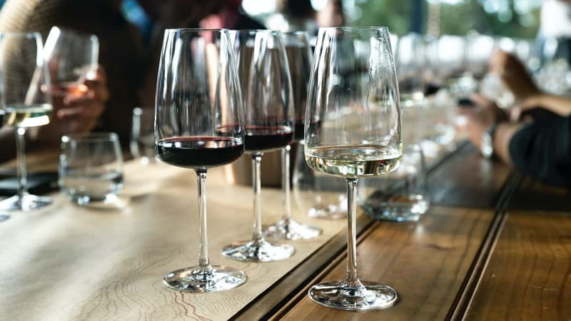 Bologna: Parmesan, Vinegar, Wine, Lunch +Transfer - A Toast to Emilia-Romagna: Lambrusco and a Family-Run Winery