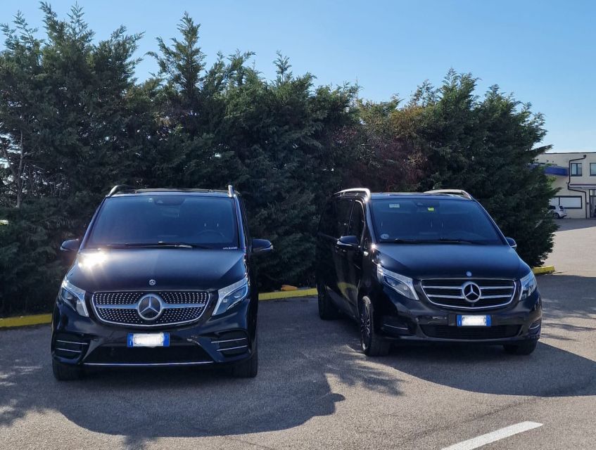 Bologna: Private Transfer to Ravenna Cruise Port - Pickup and Drop-off Options