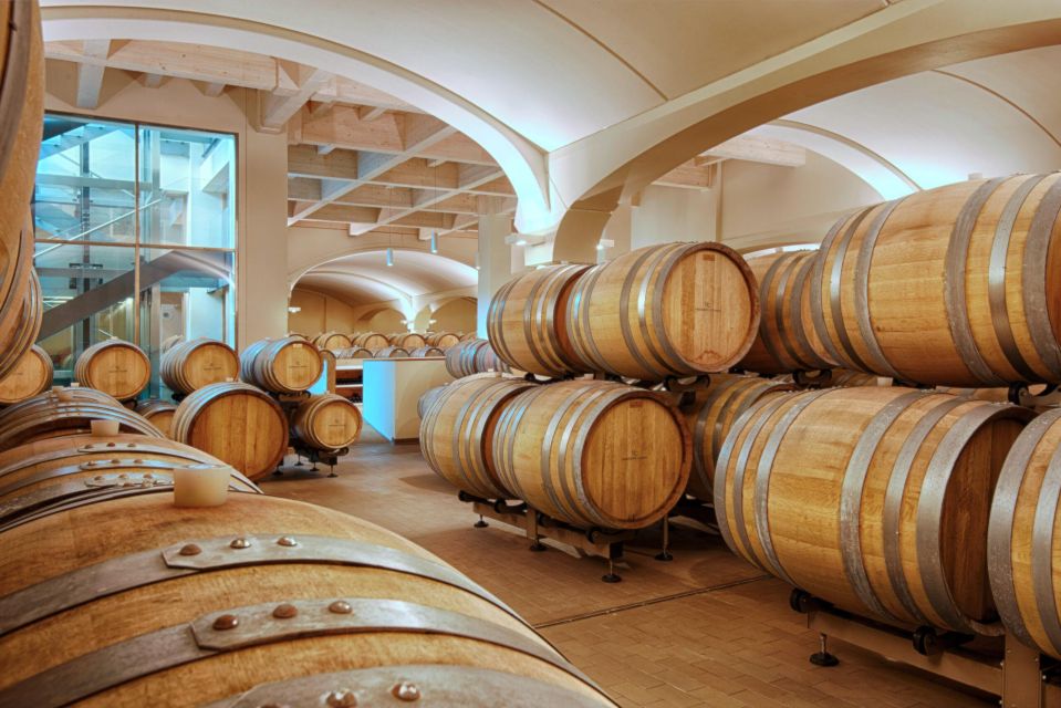 Bologna Vineyard Vista: a Journey Through Emilian Wines - Key Points