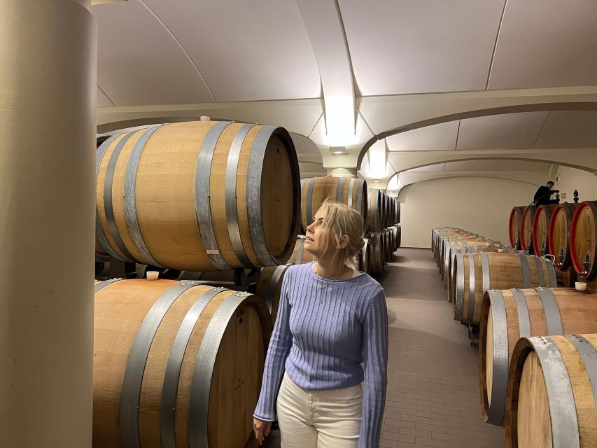 Bologna Vineyard Vista: a Journey Through Emilian Wines - Classic Experience Highlights