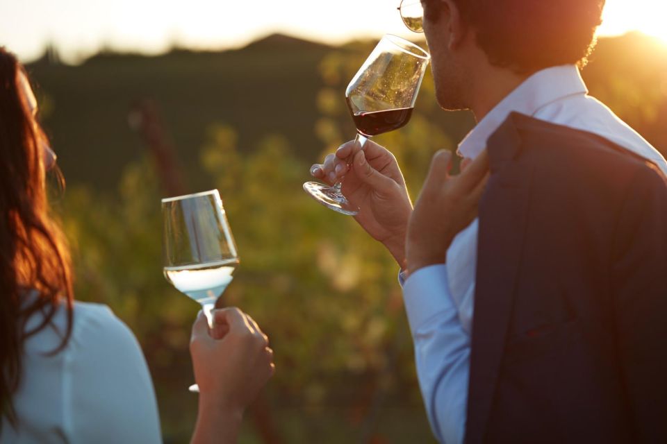 Bologna Vineyard Vista: a Journey Through Emilian Wines - Deluxe Experience Highlights