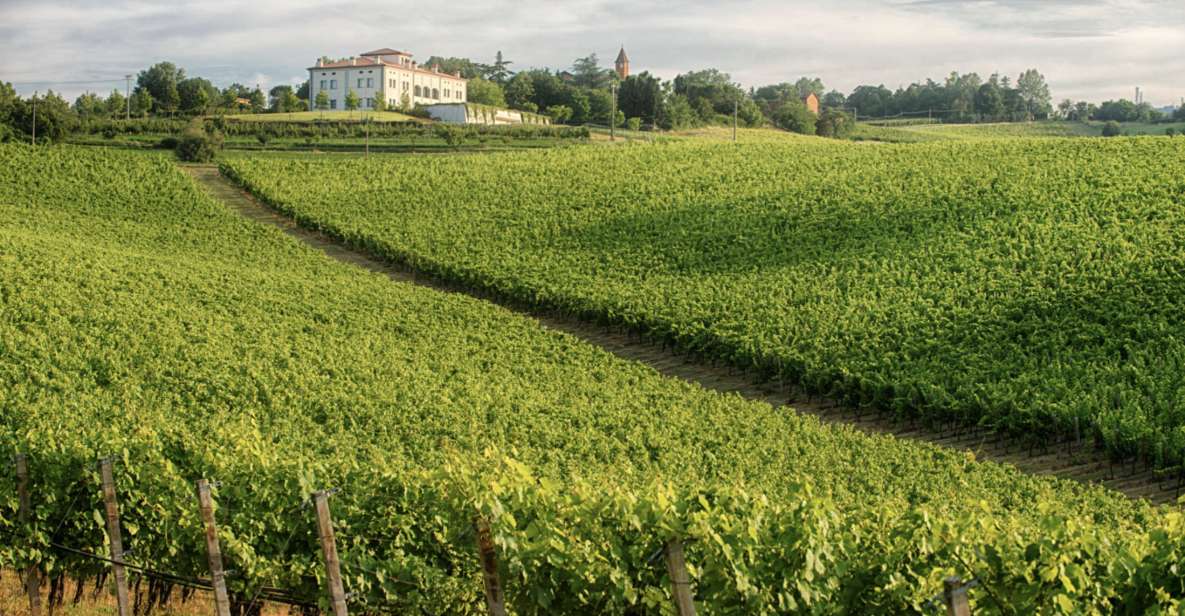 Bologna Vineyard Vista: a Journey Through Emilian Wines - Location and Duration