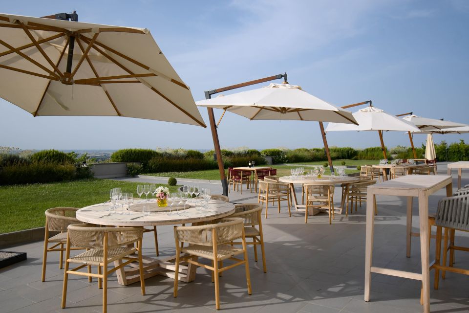 Bologna Vineyard Vista: a Journey Through Emilian Wines - Cancellation Policy