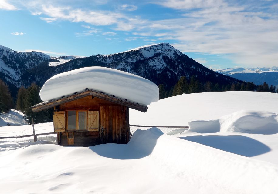 Bolzano Dolomites: Winter Hiking & Sledding Experience - Key Points
