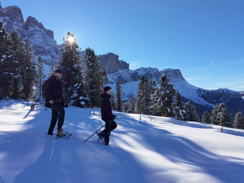 Bolzano Dolomites: Winter Hiking & Sledding Experience - Itinerary Overview