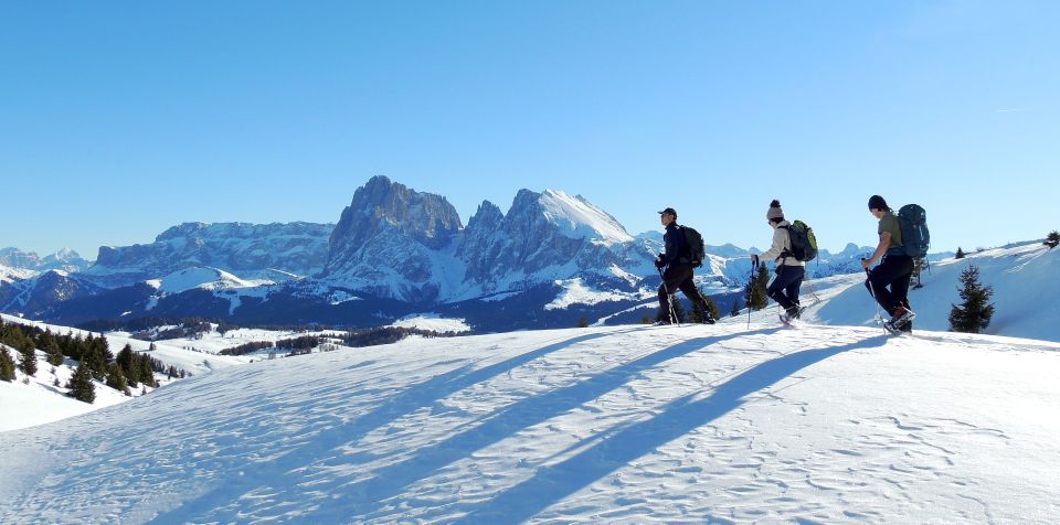 Bolzano Dolomites: Winter Hiking & Sledding Experience - Pickup and Drop-off
