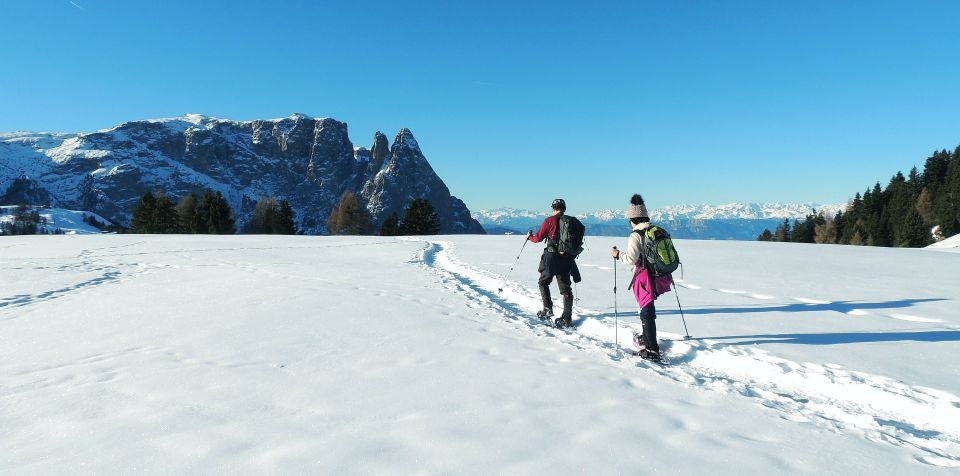 Bolzano Dolomites: Winter Hiking & Sledding Experience - Frequently Asked Questions