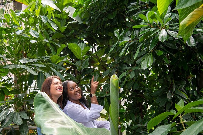 Bombay Sapphire Gin Cocktail Masterclass and Tour - Meeting and Pickup