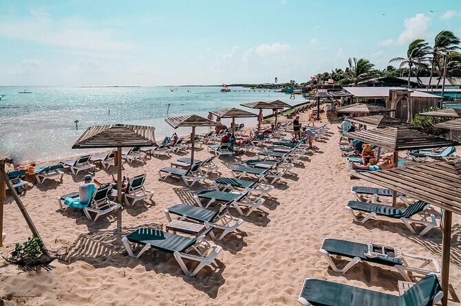 Bonaire 2 hour Island Tour & 2 hour Beach Stay - Key Points