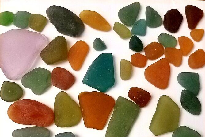 Bonaire Beachcombing and Sea Glass Private Tour - What Makes This Tour Stand Out